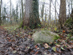 markesteen Steen in het Minnebroek